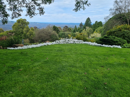 Classic White ground Arch/Floor Nest